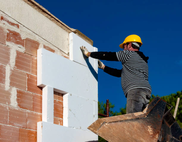 Best Home Insulation Services  in Bethany, IL