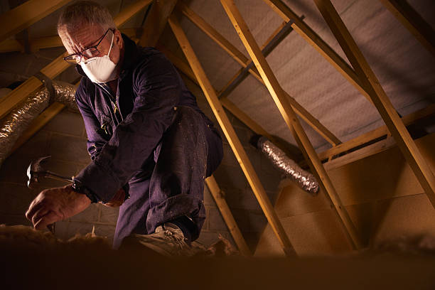Best Attic Insulation Installation  in Bethany, IL